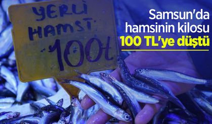 Samsun'da hamsinin kilosu 100 TL'ye düştü