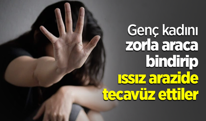 Genç kadını zorla araca bindirip ıssız arazide tecavüz