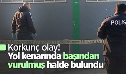 Korkunç olay! Yol kenarında başından vurulmuş halde bulundu