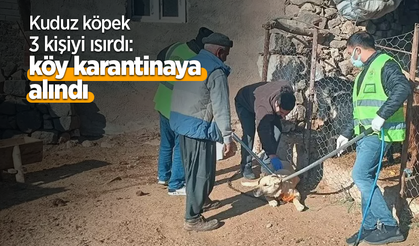 Kuduz köpek 3 kişiyi ısırdı: köy karantinaya alındı