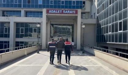 DEAŞ operasyonunda 1 tutuklama