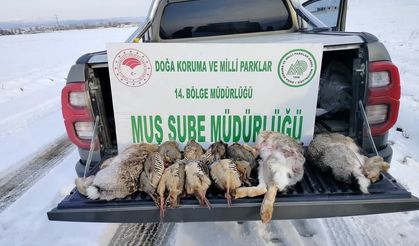 kaçak avcılara ağır ceza