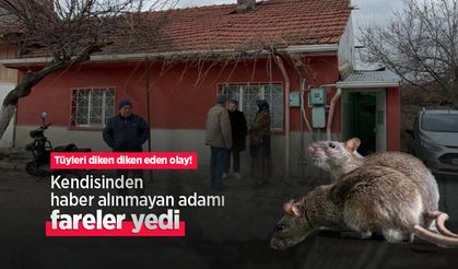 Tüyleri diken diken eden olay! Kendisinden haber alınmayan adamı fareler yedi