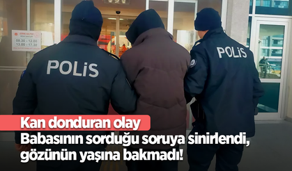 Kan donduran olay Babasının sorduğu soruya sinirlendi,gözünün yaşına bakmadı!