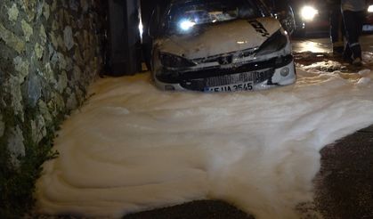 park halindeki otomobil alevlere teslim oldu