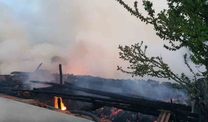 Ahırda başlayan yangın iki evi kül etti
