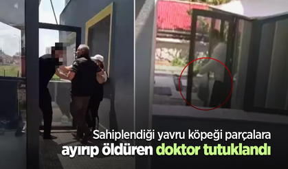 Sahiplendiği yavru köpeği parçalara ayırıp öldüren doktor tutuklandı