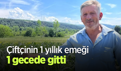 Çiftçinin 1 yıllık emeği 1 gecede gitti