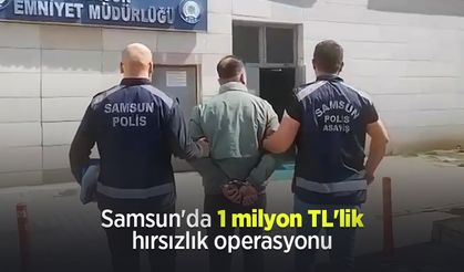 Samsun'da 1 milyon TL'lik hırsızlık operasyonu: 6 şüpheli gözaltında