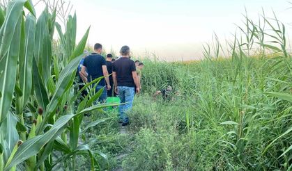 sazlıklar arasında bir kişi ölü bulundu
