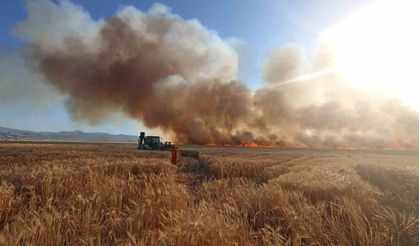 onlarca dönüm ekili arazi küle döndü