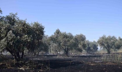 tarım arazisinde yangın