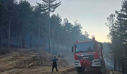 Orman yangını kontrol altına alındı