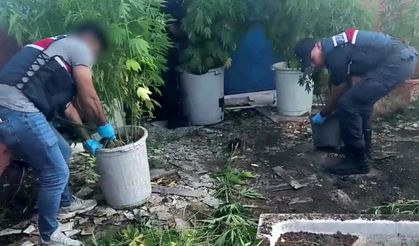 Uyuşturucu operasyonu: 1 tutuklama