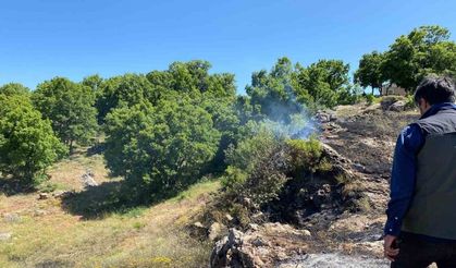 yangın köye sıçramadan engellendi