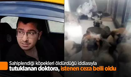 Sahiplendiği köpekleri öldürdüğü iddiasıyla tutuklanan doktora, istenen ceza belli oldu