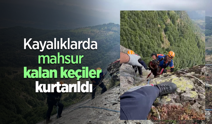 Kayalıklarda mahsur kalan keçiler kurtarıldı