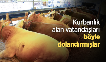 Kurbanlık alan vatandaşları böyle dolandırmışlar