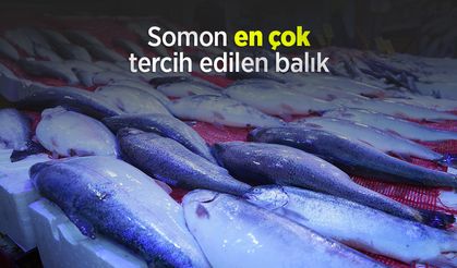 Somon en çok tercih edilen balık