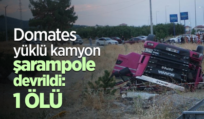 Domates yüklü kamyon şarampole devrildi: 1 ölü