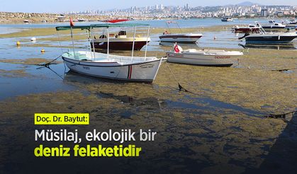 Doç. Dr. Baytut: Müsilaj, ekolojik bir deniz felaketidir