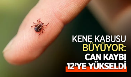 Kene kabusu büyüyor: Can kaybı 12'ye yükseldi