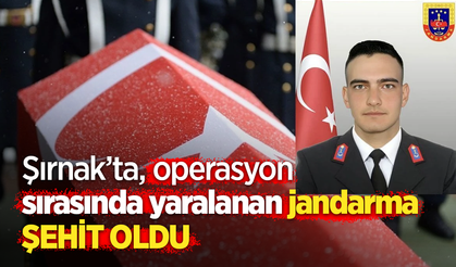 Şırnak’ta operasyon sırasında yaralanan jandarma şehit oldu