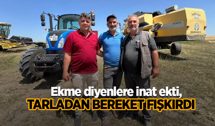 Ekme diyenlere inat ekti, tarladan bereket fışkırdı