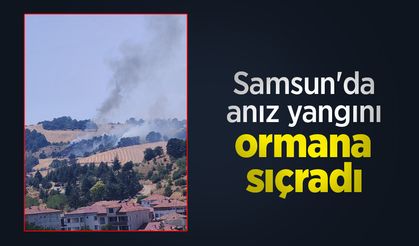 Samsun'da anız yangını ormana sıçradı