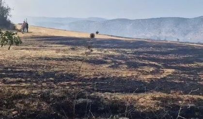 çıkan anız yangını kontrol altına alındı
