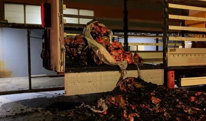 Mangal kömürü yüklü tır alev alev yandı