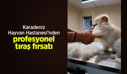 Karadeniz Hayvan Hastanesi’nden profesyonel tıraş fırsatı