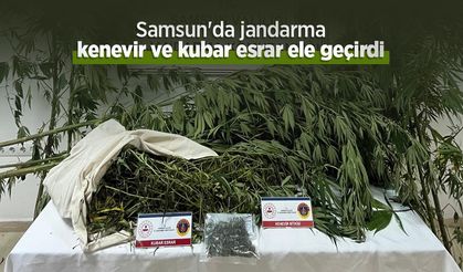 Samsun'da jandarma kenevir ve kubar esrar ele geçirdi