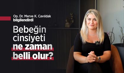 Op. Dr. Merve K. Cavıldak bilgilendirdi: Bebeğin cinsiyeti ne zaman belli olur?
