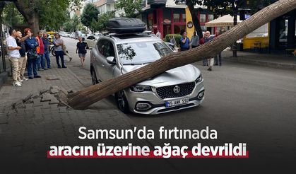 Samsun'da fırtınada aracın üzerine ağaç devrildi