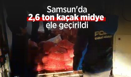 Samsun'da 2,6 ton kaçak midye ele geçirildi