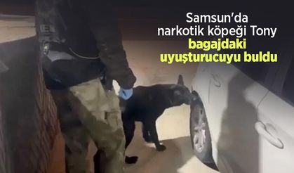 Samsun'da narkotik köpeği Tony bagajdaki uyuşturucuyu buldu