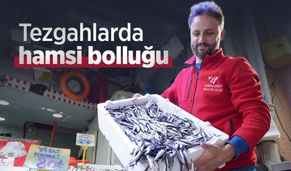 Tezgahlarda hamsi bolluğu
