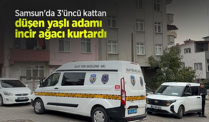 Samsun'da 3'üncü kattan düşen yaşlı adamı incir ağacı kurtardı