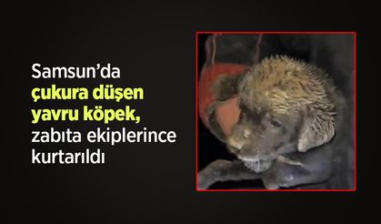 Samsun’da çukura düşen yavru köpek, zabıta ekiplerince kurtarıldı