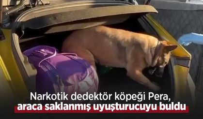 Narkotik dedektör köpeği Pera, araca saklanmış uyuşturucuyu buldu