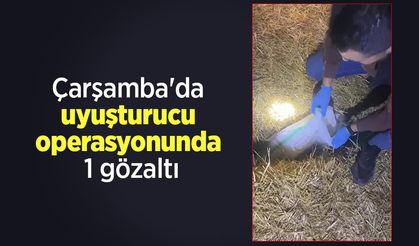 Çarşamba'da uyuşturucu operasyonunda 1 gözaltı