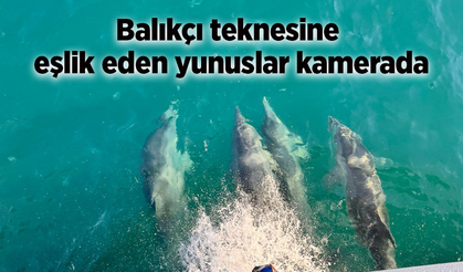 Balıkçı teknesine eşlik eden yunuslar kamerada