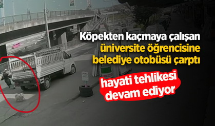 Köpekten kaçmaya çalışan üniversite öğrencisine belediye otobüsü çarptı