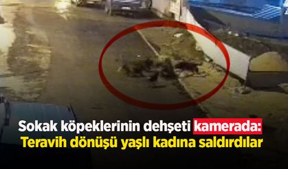 Sokak köpeklerinin dehşeti kamerada: Teravih dönüşü yaşlı kadına saldırdılar