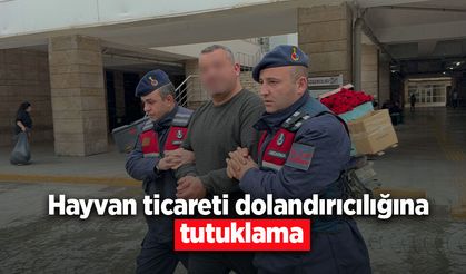 Hayvan ticareti dolandırıcılığına tutuklama