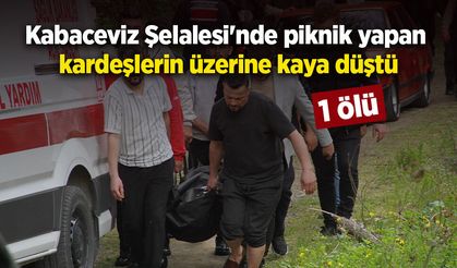 Kabaceviz Şelalesi'nde piknik yapan kardeşlerin üzerine kaya düştü: 1 ölü