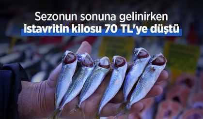 Sezonun sonuna gelinirken istavritin kilosu 70 TL'ye düştü