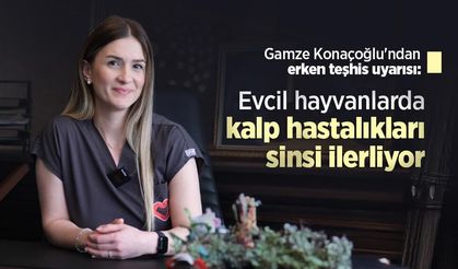 Gamze Konaçoğlu'ndan erken teşhis uyarısı: Evcil hayvanlarda kalp hastalıkları sinsi ilerliyor