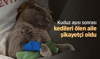 Kuduz aşısı sonrası kedileri ölen aile şikayetçi oldu